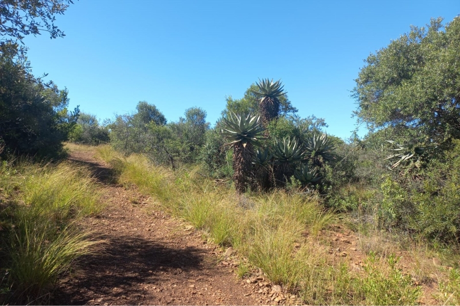 0 Bedroom Property for Sale in Koster North West